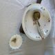 Porcelain dish