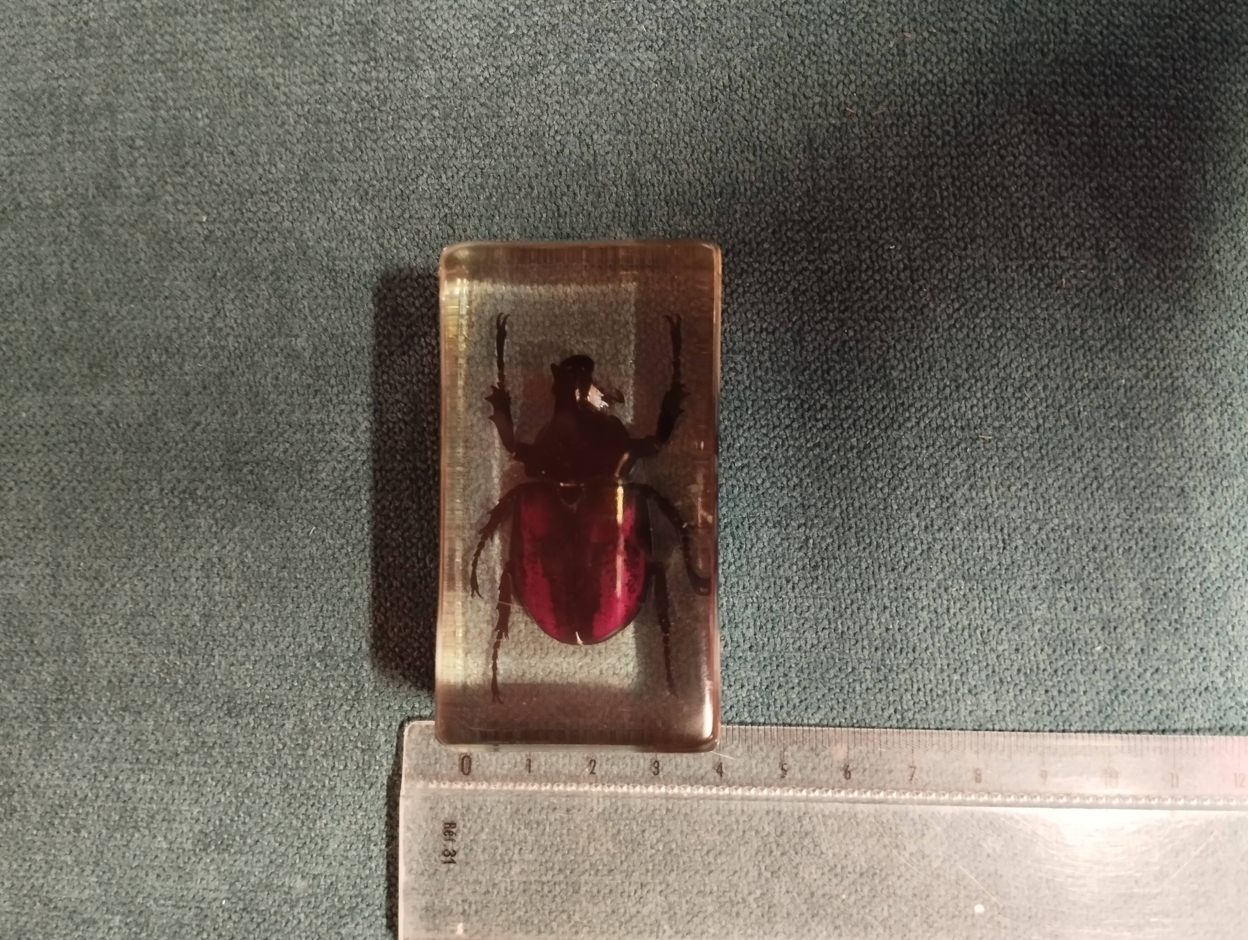 Beetle resin block