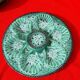 5 plates stamped Marius Giuge potter artist Vallauris diam 23.5 cm
