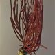Cabinet of Curiosities red coral ellisella ceratophyta on base
