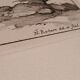 Rare Engraving XVII - Nicolas Robert (Painter to the King) - The Amaryllis Royal