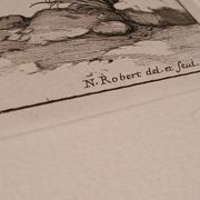 Rare Engraving XVII - Nicolas Robert (Painter to the King) - The Amaryllis Royal
