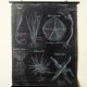 Rare educational grand tableau hand-drawn of extinct echinoderms, 19th century.