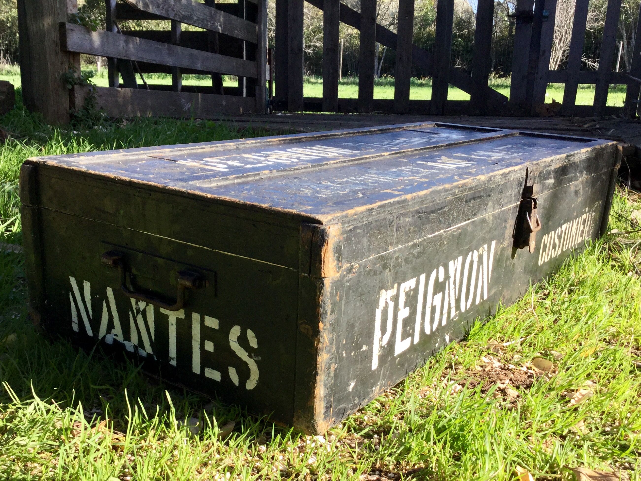 Painted home suit trunk
