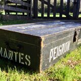 Painted home suit trunk