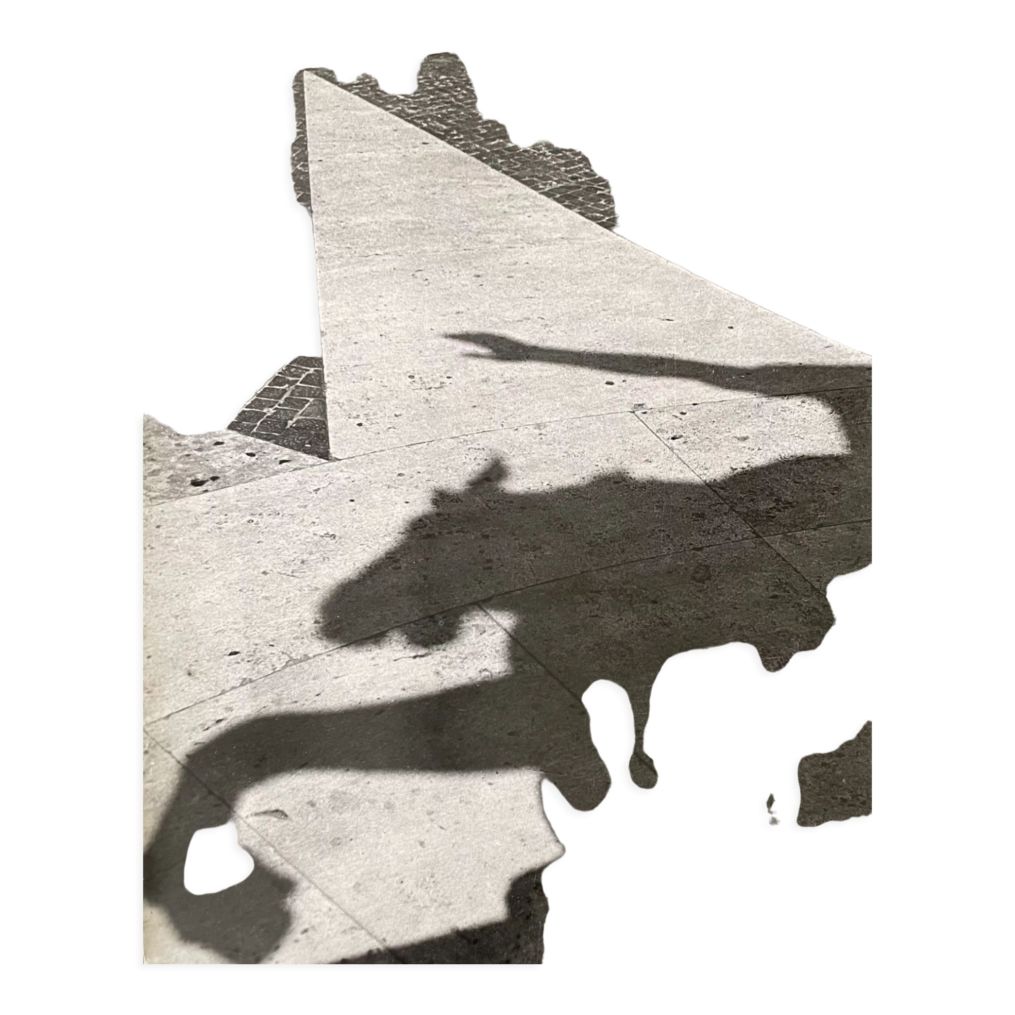 Black and white silver photography early twentieth century