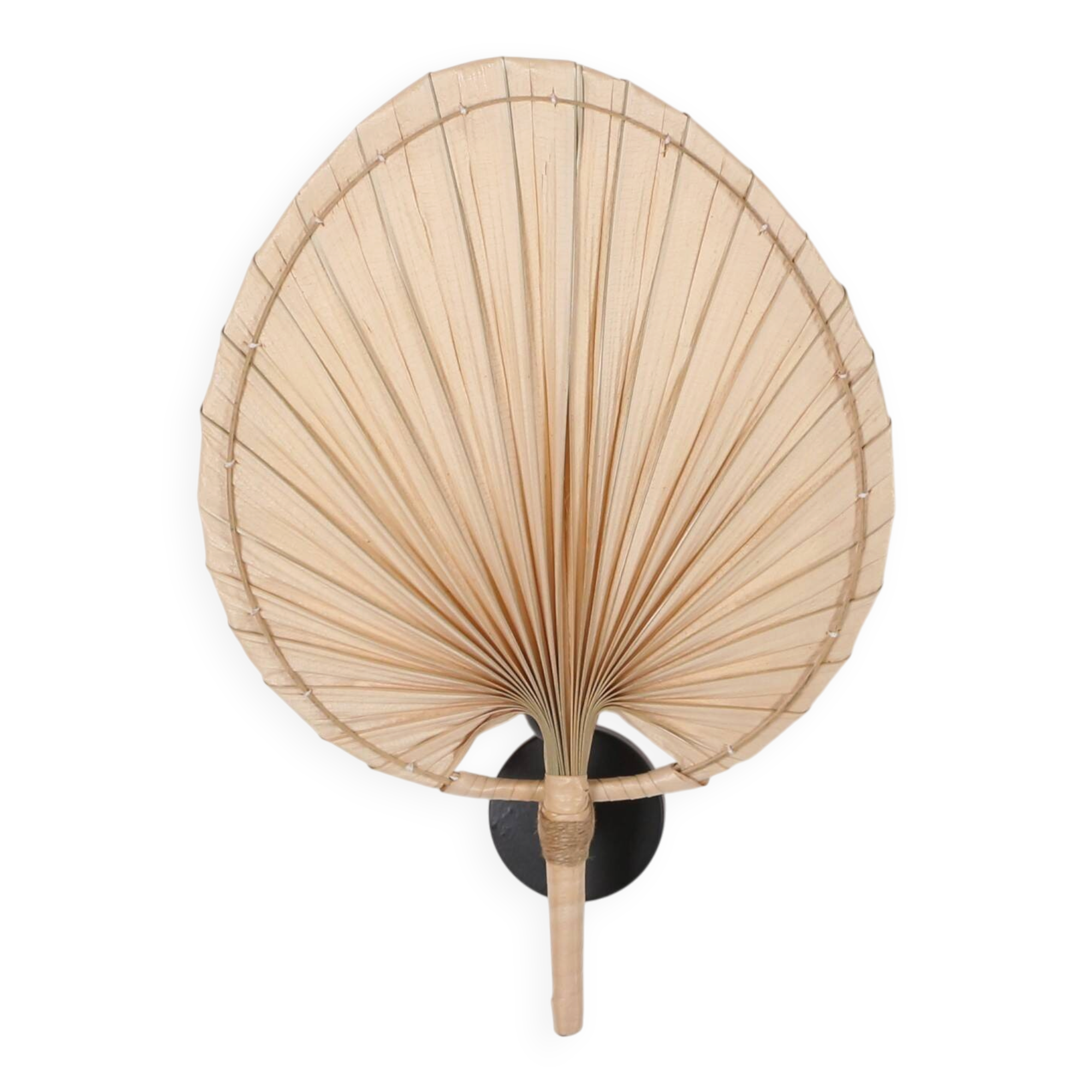 Palm Rattan Wall Sconce Lamp, 30x44Cm