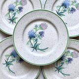 6 floral dessert plates