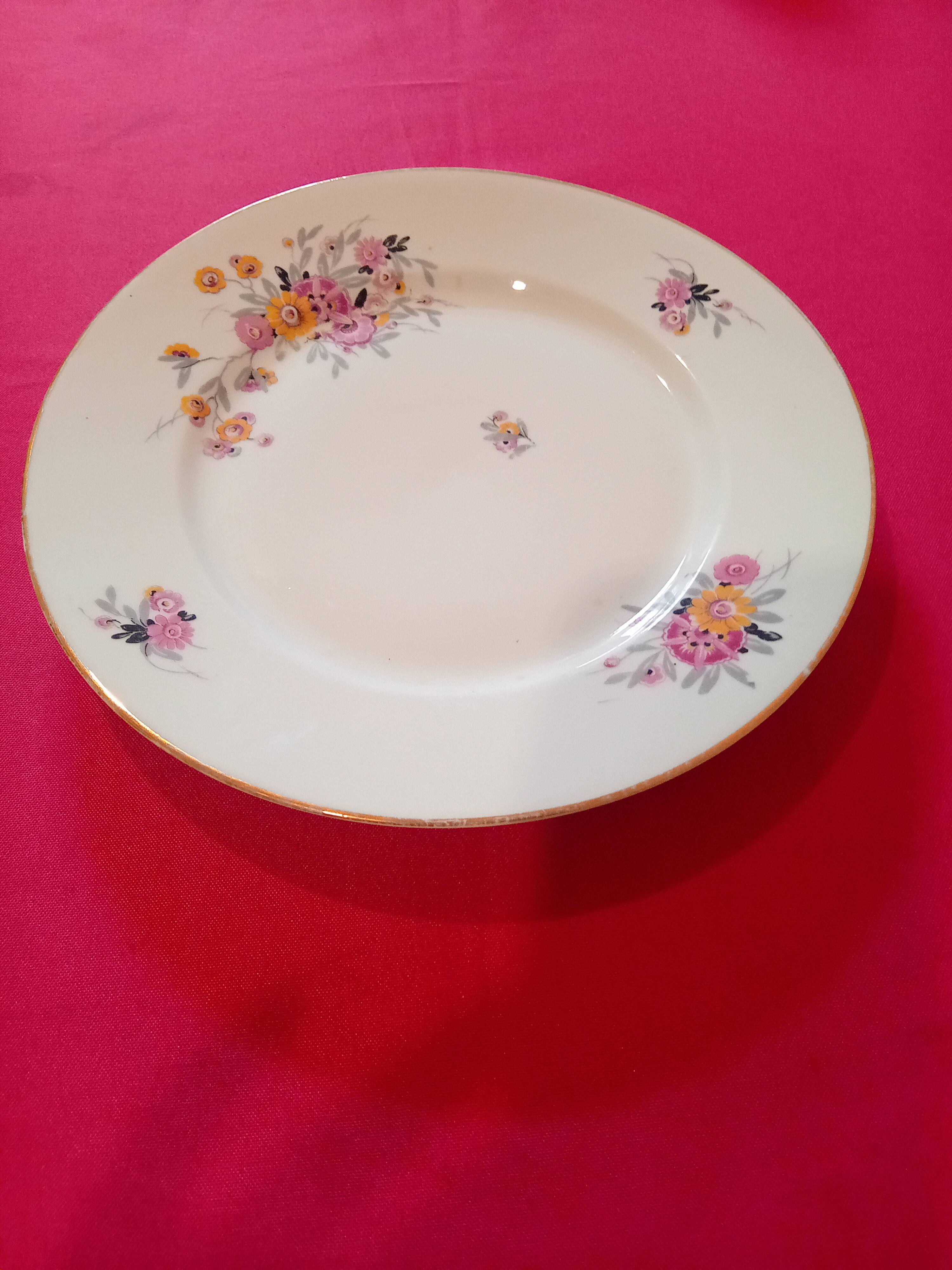 flat plate Chartres sur Cher Gaston Sailly