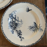 Assiettes terre de fer