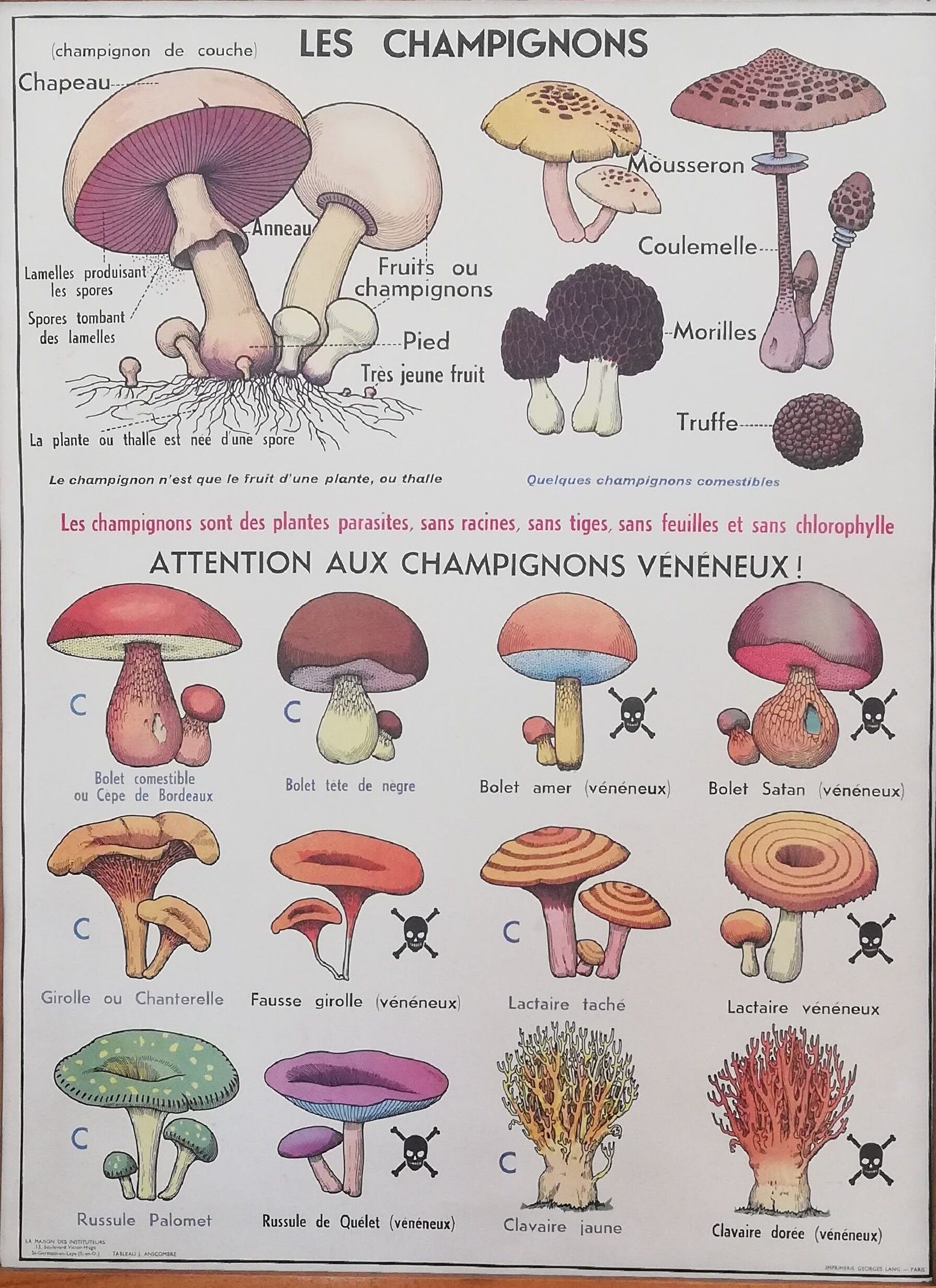 Old MDI school poster