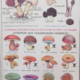 Old MDI school poster