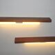 Pair of Danish teak shelves with wall lights, 1960s