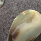 Set of 7 horn and wood spoons