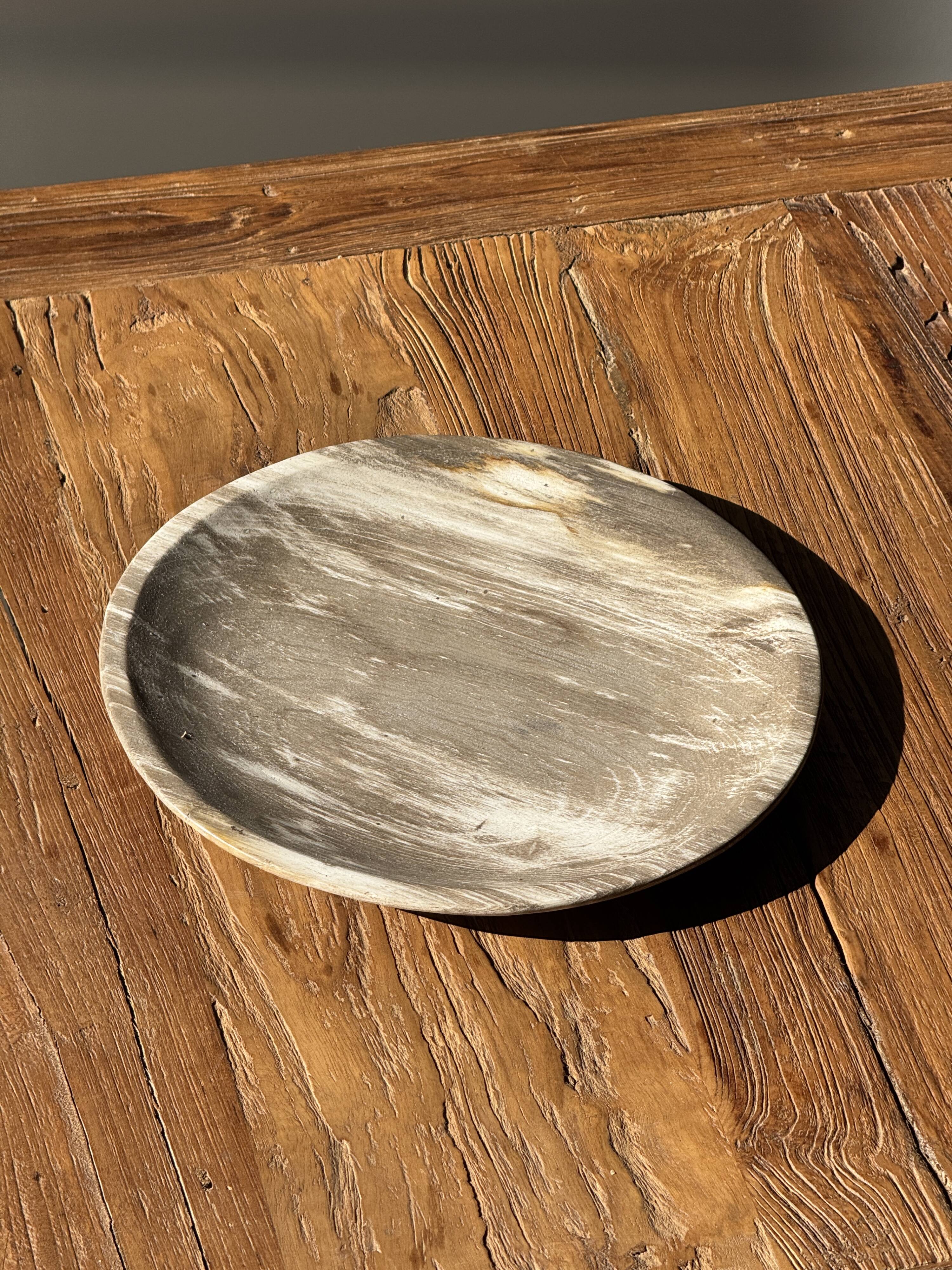 Petrified wood vide poche, circular dish or plate in light beige D25.