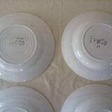 6 assiettes Saint Amand faience ancienne  381112 fleurs rose rouge
