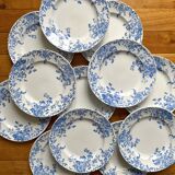 12 small flat plates "Campanule" Saint Amand and Hamage