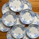 12 small flat plates "Campanule" Saint Amand and Hamage