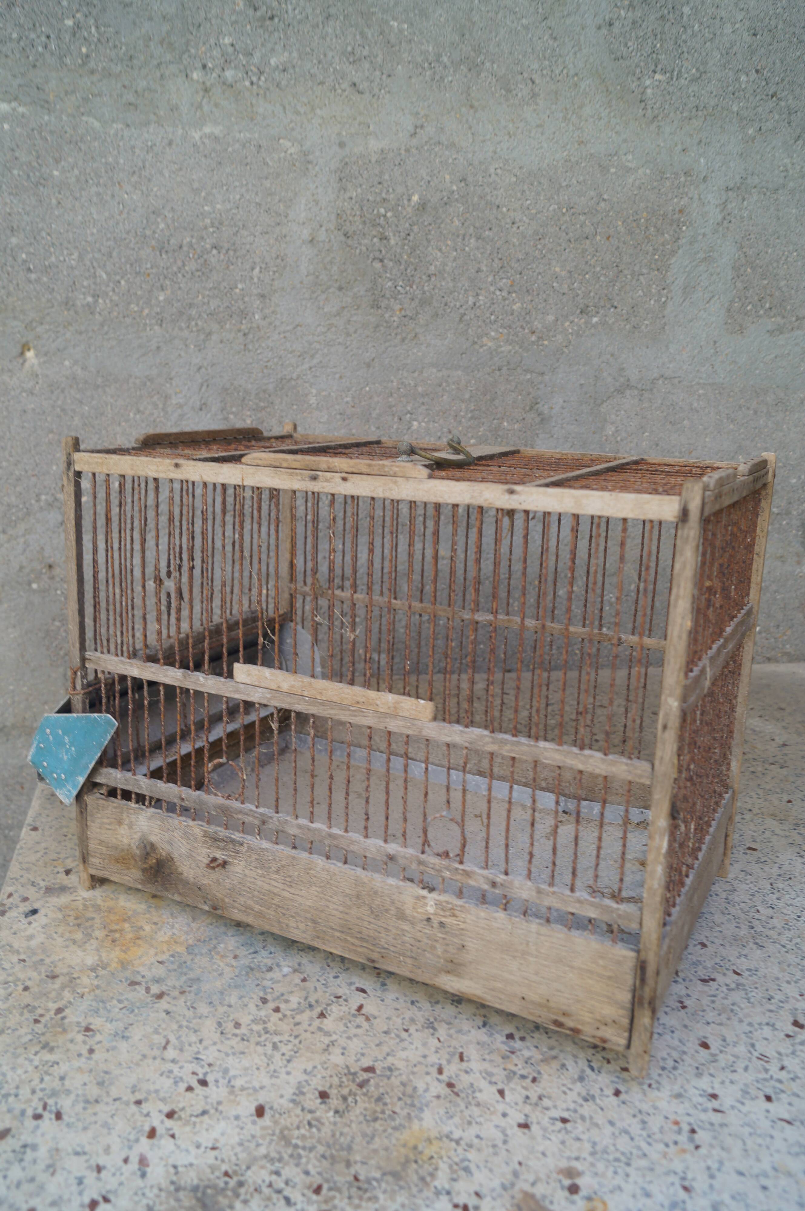 Old bird cage 1900