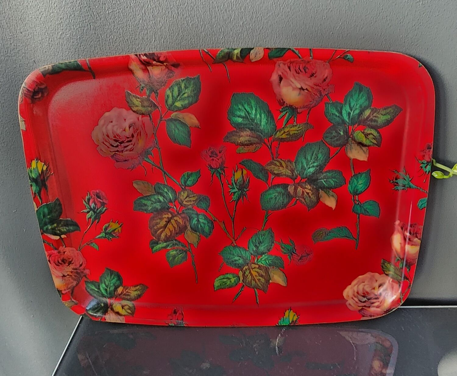 Fibreglass plateau: vintage