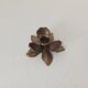 Vintage flower candlestick in solid gold brass