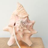 Natural shell lamp, 60s