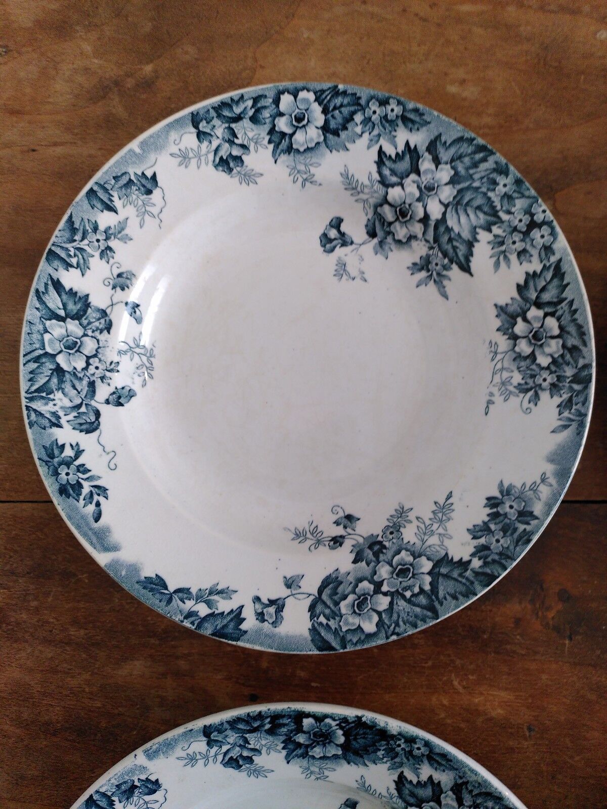 Set of flat and hollow plates in Terre de Fer Saint Amand & Hamage