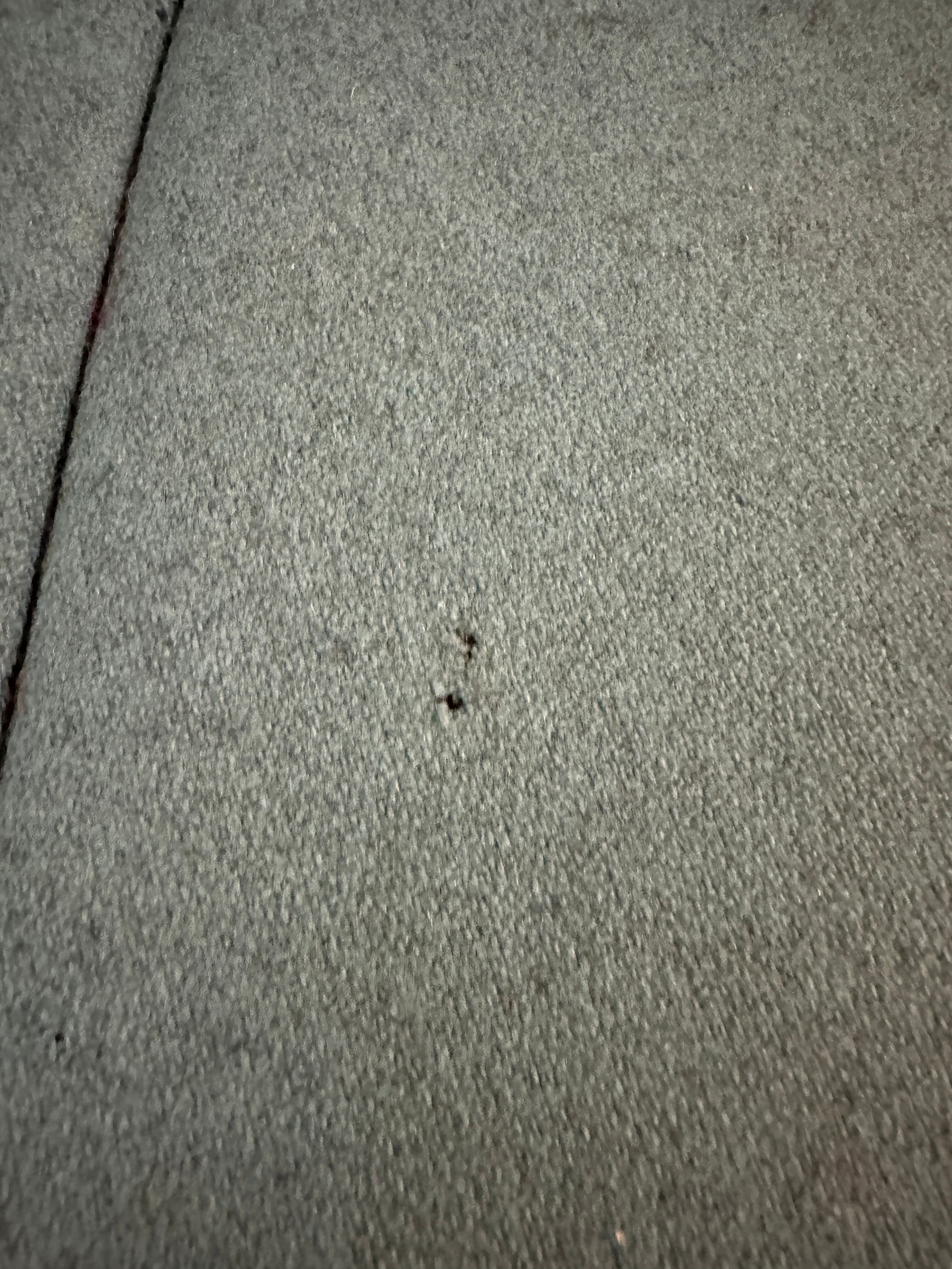 3 Seater Sofa "Pumpkin" by Paulin