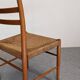 Pair of modernist Scandinavian chairs by Yngve Ekström, Sweden 1956