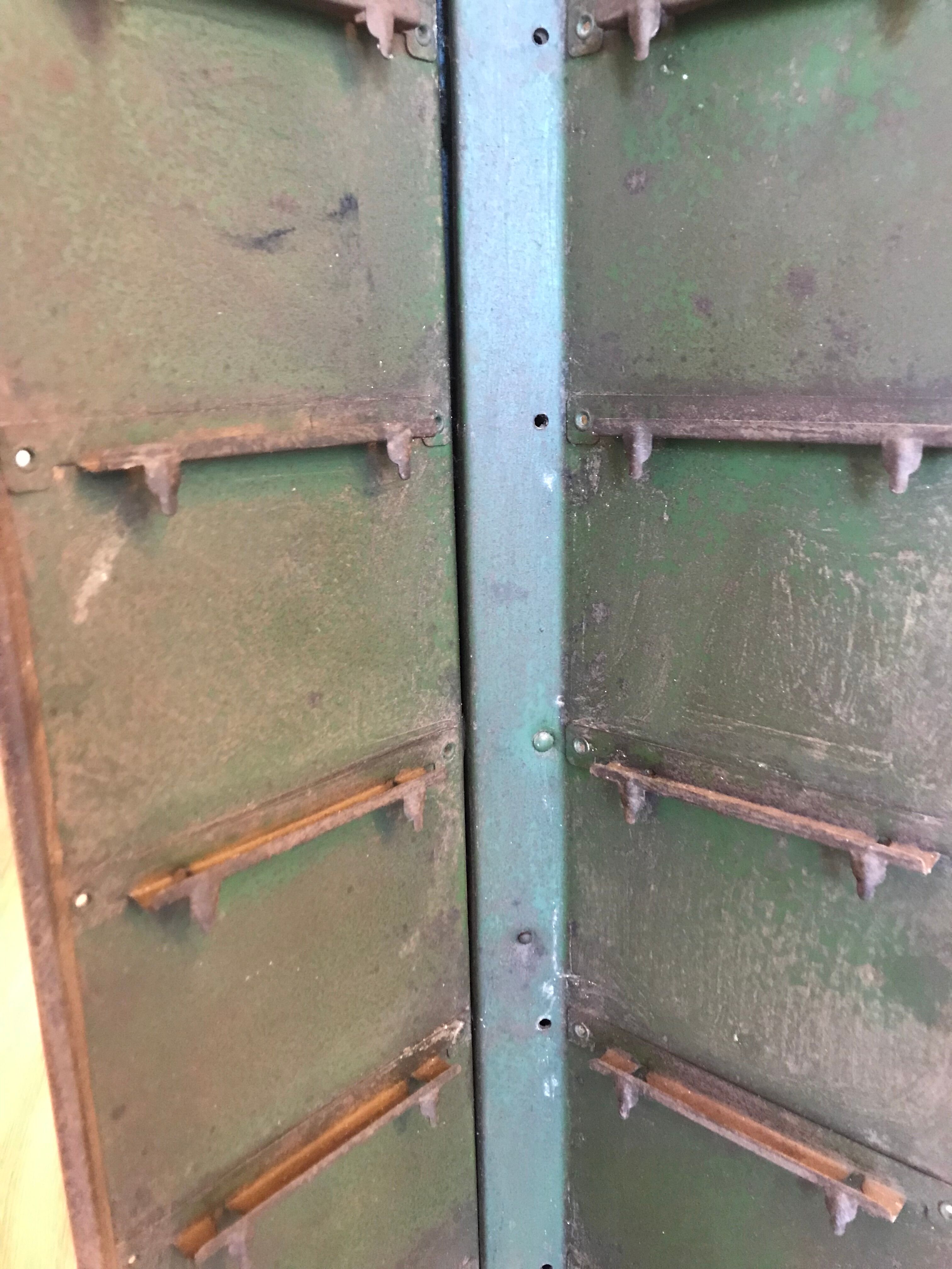 Display bears postcards or photos before 1900