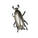 Silver insect shaped ashtray / box, France 1950s