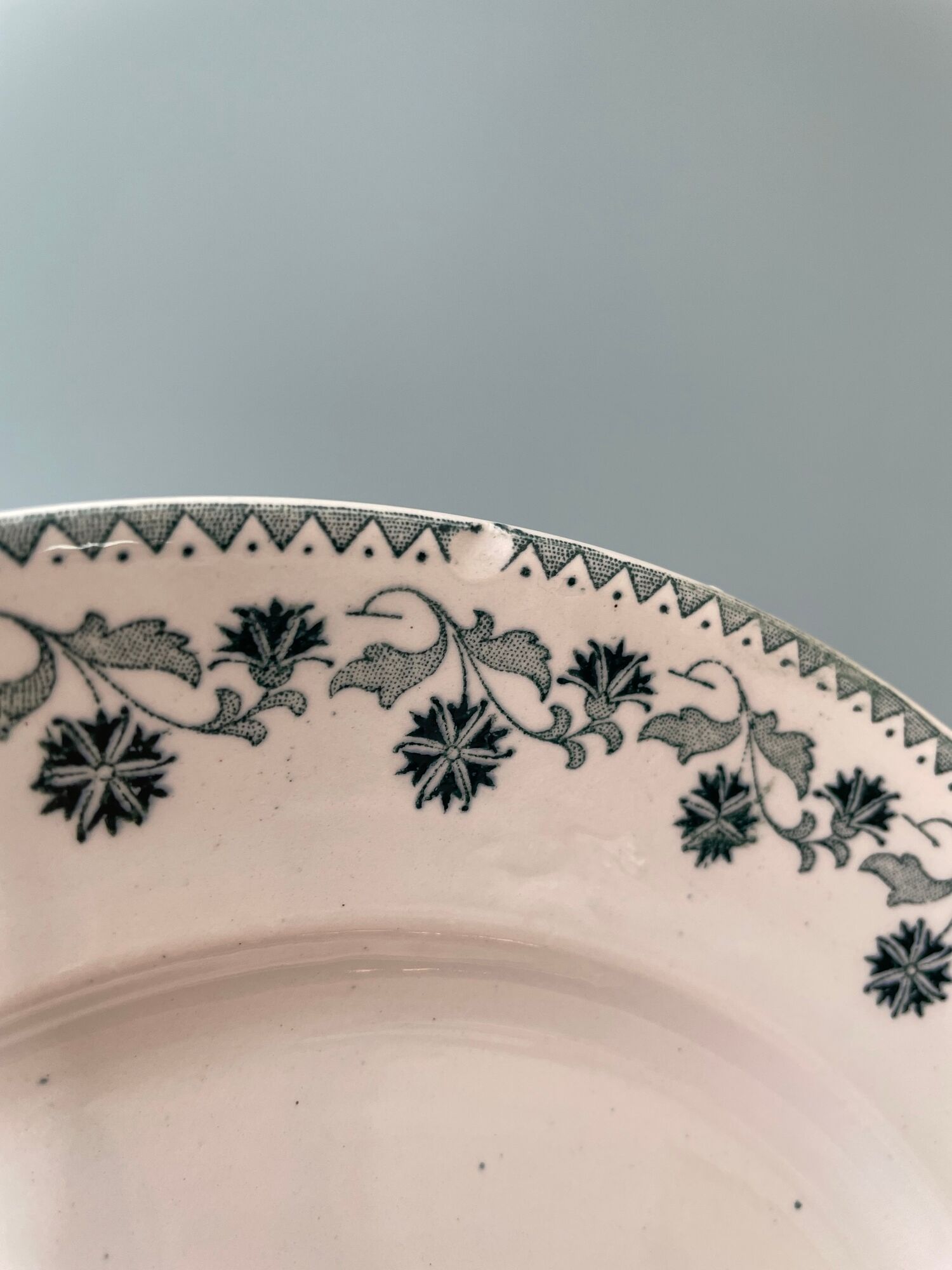 Set of 16 flat plates model Georgette Moulin des Loups & Hamage