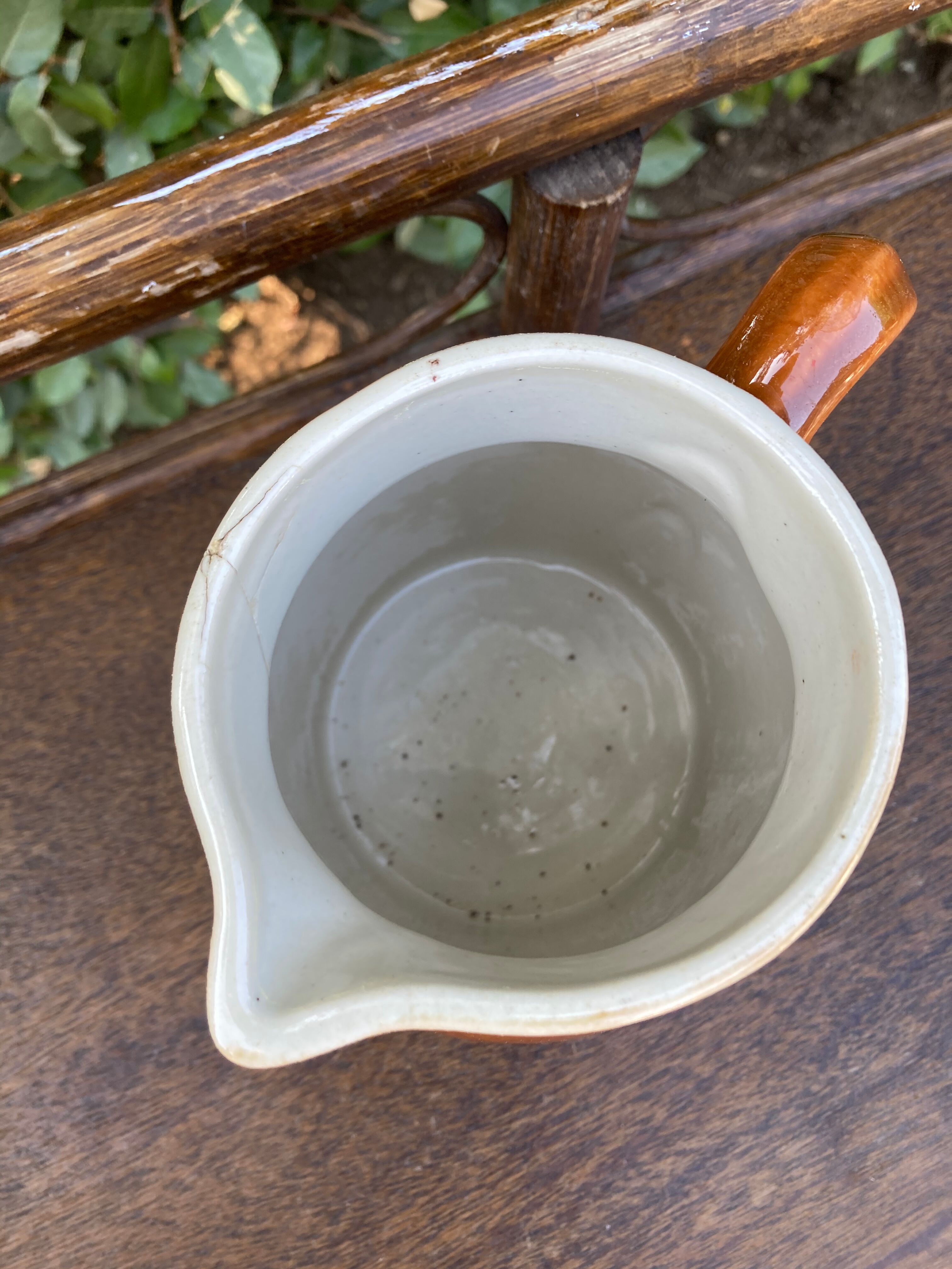 Small pitcher with brown water