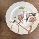 set de 12 assiettes polychrome 1850 ondulées Brownfield England oiseaux