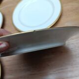 Haviland Limoges porcelain tableware