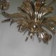 Wheat ears lustre