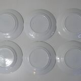 Terre de fer 6 assiettes plates lotus