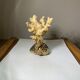 Ancient sculpture coral shell and hyppocampe souvenir vintage pacific