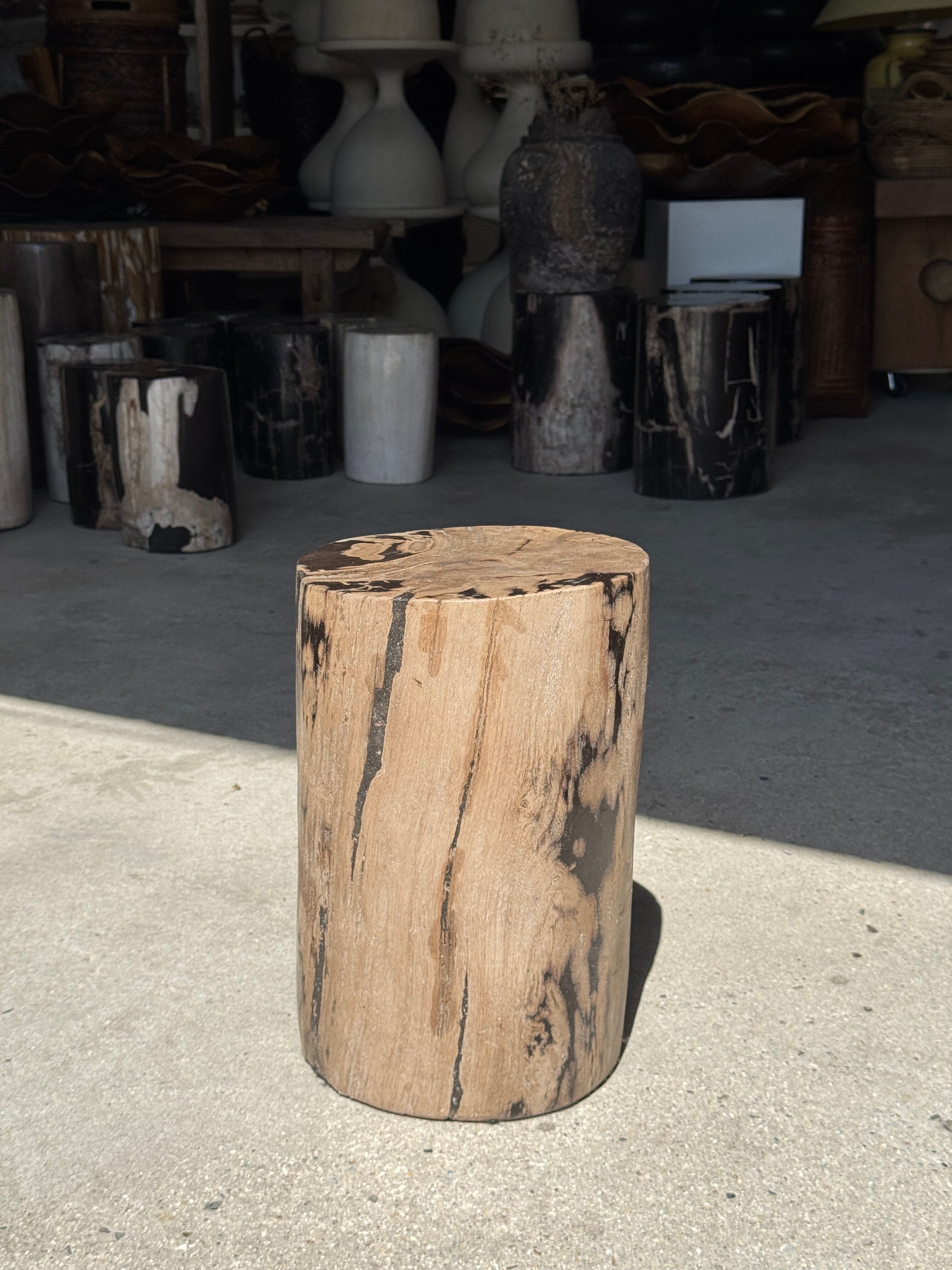 Brown and black petrified wood side table H35 D27 - 3333