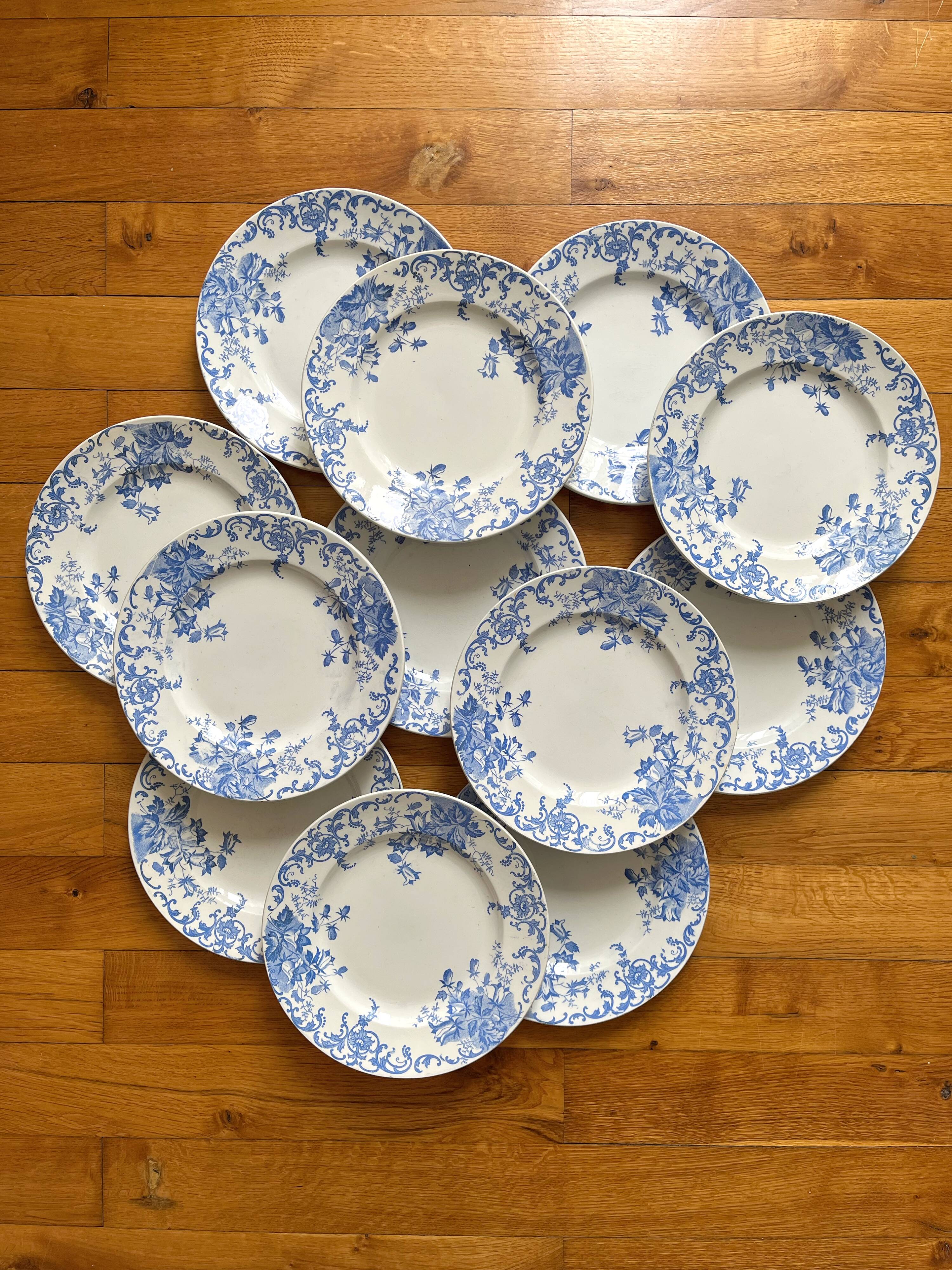 12 small flat plates "Campanule" Saint Amand and Hamage