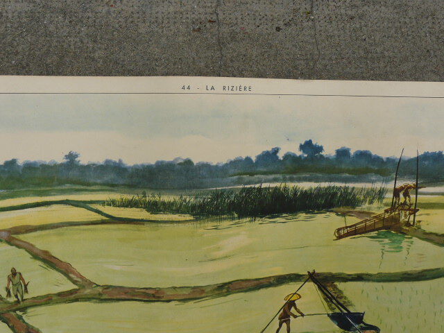 Affiche scolaire éditions rossignol N° 43 et 44 la rizière et l'oasis