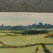 School poster editions nightingale N° 43 and 44 the rice field and the oasis