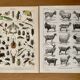 Reserved Matthieu - Lot of 2 20th century lithos.