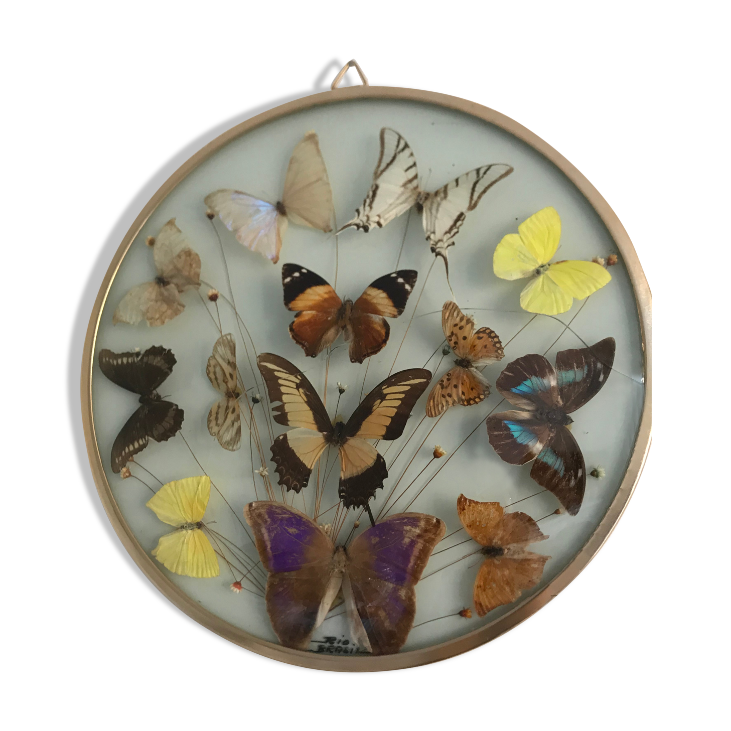 Vintage butterfly frame