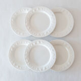 6 flat plates Quadrifoglio