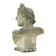 Beautiful Weathered Apollo Bust Garden Statue Cast Stone 65cm