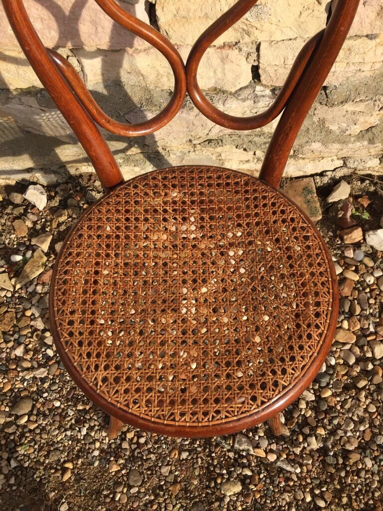 Set of 6 chairs Thonet number 20