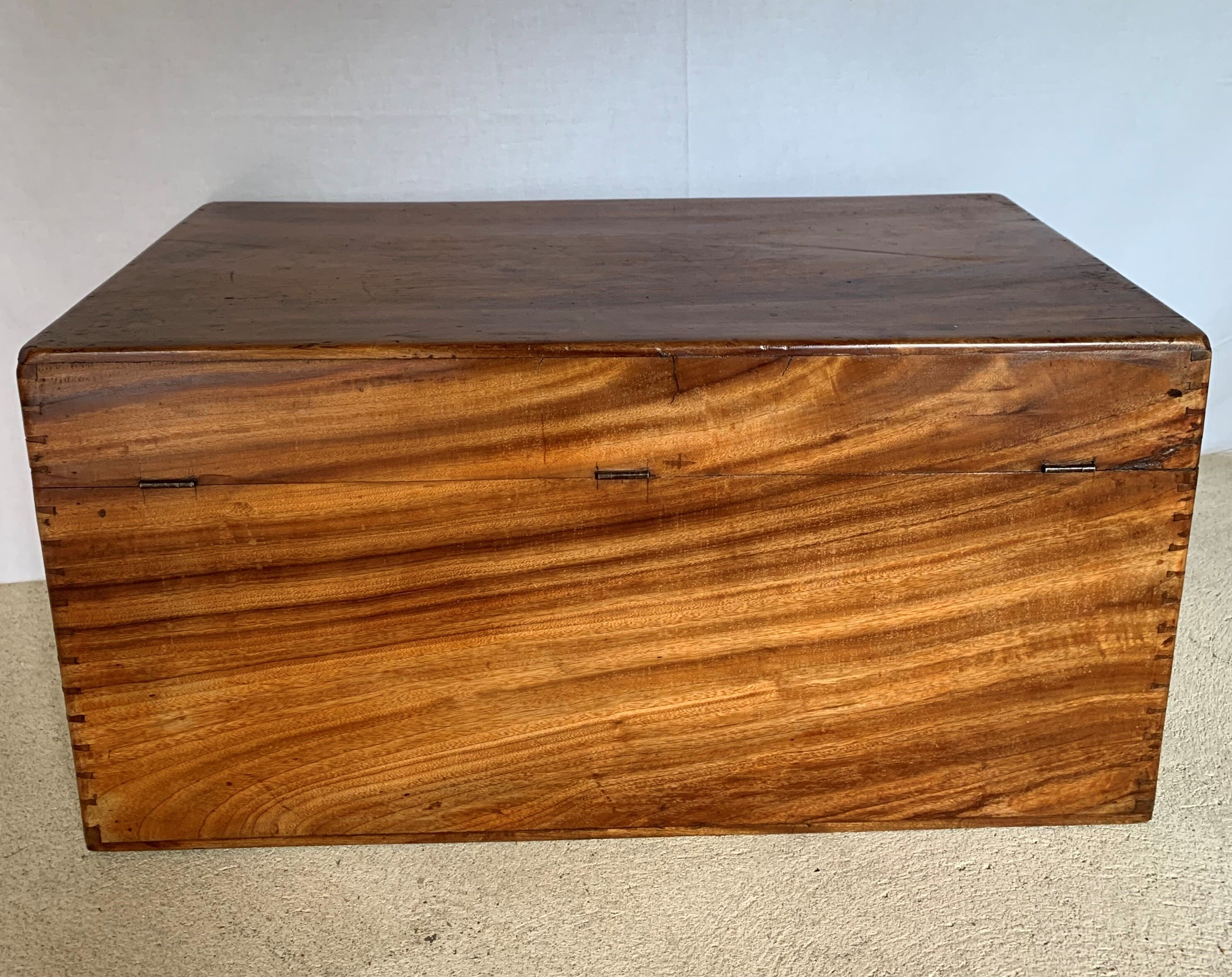 Chinese box in camphrier