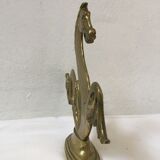 Hippocampus brass years 70