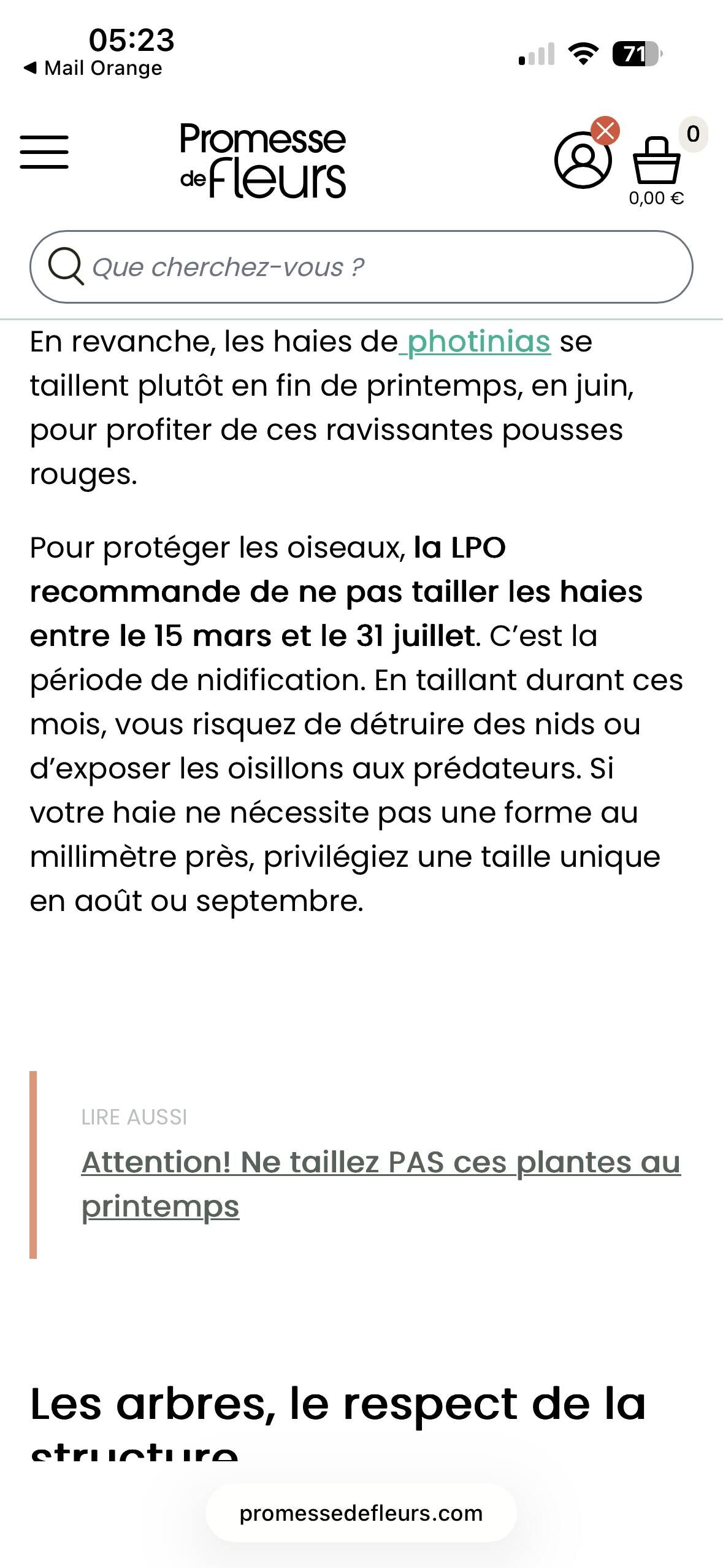 Directoire cherry wood bookcase